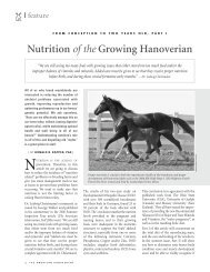 Nutrition of the Growing Hanoverian - the American Hanoverian ...
