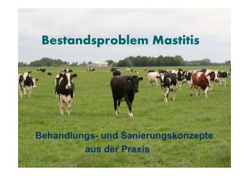 Dr. Franz Josef Siepelmeyer - Mastitis - HANSA Landhandel