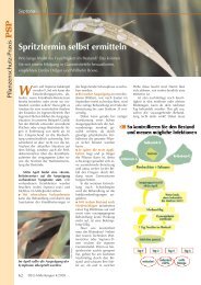 Septoria - Spritztermin selbst ermitteln - Hanse Agro