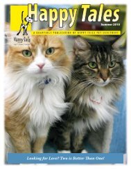 Looking for Love? Two is Better Than One! - Happy Tails - Pet ...
