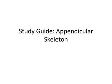 Study Guide: Appendicular Skeleton