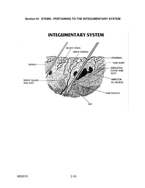 BASIC MEDICAL TERMINOLOGY SUBCOURSE ... - EnglishZone