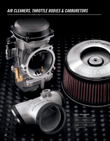 AIR CLEAnERS, thRottLE boDIES ... - Harley-Davidson