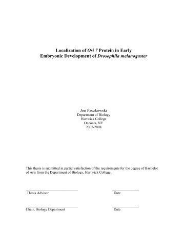 Localization of Osi 7 Protein in Early Embryonic ... - Hartwick College