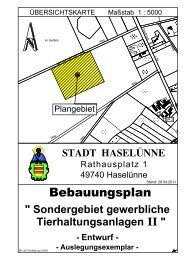 Sondergebiet gewerbliche Tierhaltungsanlagen II - Stadt Haselünne