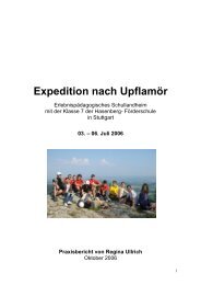Abschlussbericht Praxisprojekt 10.2006 - Hasenbergschule