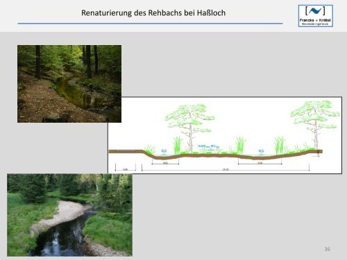 Renaturierung des Rehbachs bei Haßloch