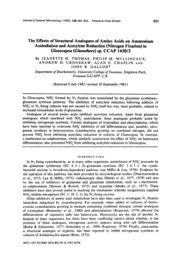 Gloeocapsa (Gloeothece) sp. CCAP 143013 - Microbiology