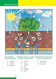 Gartenfibel», Pflanzennährstoffe - Hauert Günther