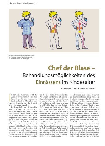 chef der Blase – - Hauner Journal