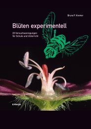 Blüten experimentell - 20 Versuchsanregungen - Haupt Verlag