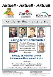 Mitteilungsblatt 17.10.2013 - Hausach