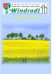 s`Windradl Juni 2010 (4,50 MB) - Gemeinde Hauskirchen