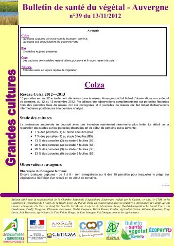 Bulletin de santé du végétal Auvergne N°39 - 13 novembre 2012