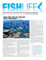 what reef fish eat and why that's important by scott radway