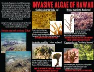 Invasive Algae OF Hawaii - Hawaii Coral Reef Strategies