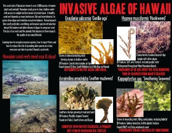 Invasive Algae OF Hawaii - Hawaii Coral Reef Strategies