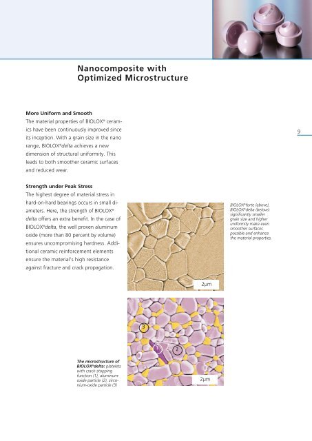 BIOLOX - Nanocomposite for Arthoplasty