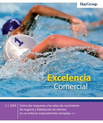 Enfoque de Excelencia Comercial - Hay Group