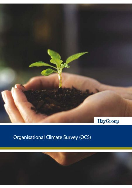 Organisational Climate Survey (OCS) - Hay Group