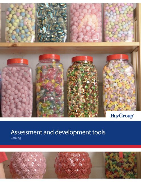 Assessment and development tools - Hay Group