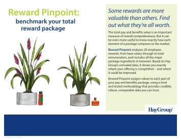 Reward Pinpoint: - Hay Group