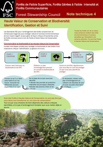 Haute Valeur de Conservation et Biodiversité - FSC - Forest ...