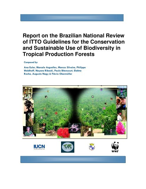 Report on the Brazilian National Review of ITTO Guidelines for the ...