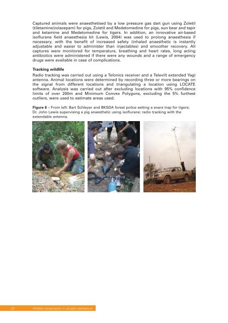 The conservation of tigers and other wildlife in oil palm plantations