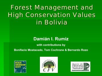 Forest Management and High Conservation Values in Bolivia