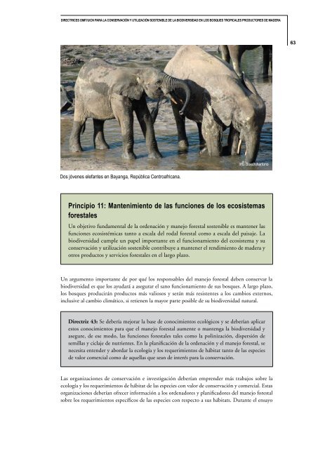 Directrices OIMT/UICN para la conservación y utilización sostenible ...