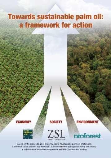Towards sustainable palm oil: a framework for action - Zoological ...