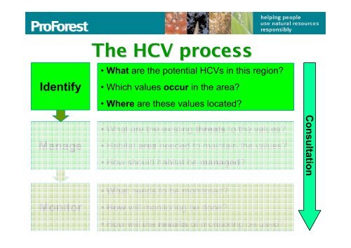 The six HCVs - HCV Resource Network