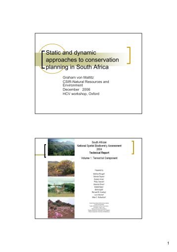 Static and dynamic approaches to conservation planning in South ...