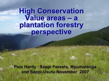 High Conservation Value areas – a plantation forestry perspective