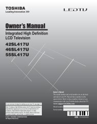 User's Manual - Home Theater HDTV