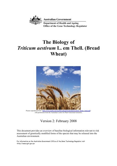 The Biology of Triticum aestivum L. em Thell. (Bread Wheat) (PDF ...