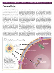 Theories of Aging - HealthPlexus.net