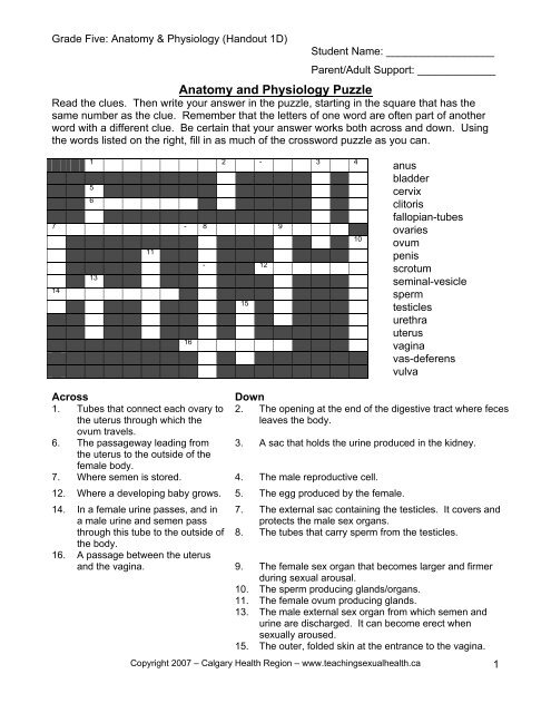 spot on the tube crossword spot on the tube crossword