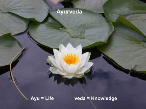 Ayurveda and its understanding of Cancer - 1st World Congress on ...
