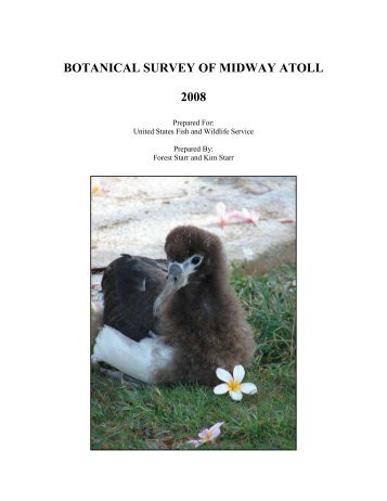 botanical survey of midway atoll 2008 - Hawaiian Ecosystems at ...