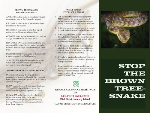 Stop The Brown Tree Snake Marine Corps Base Hawaii