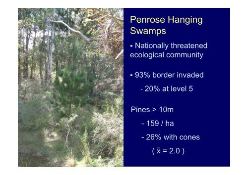 Ecological impacts of invasive Pinus radiata