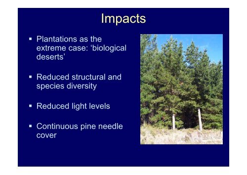 Ecological impacts of invasive Pinus radiata