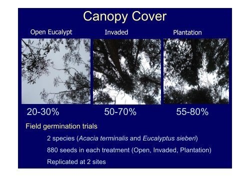 Ecological impacts of invasive Pinus radiata