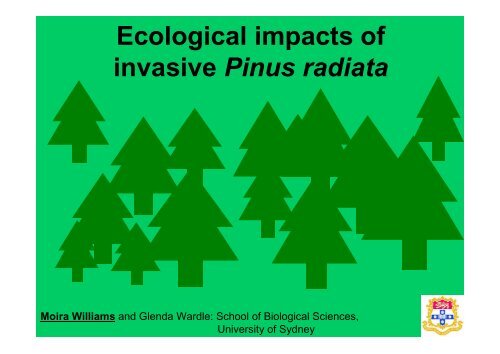 Ecological impacts of invasive Pinus radiata