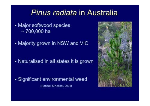 Ecological impacts of invasive Pinus radiata