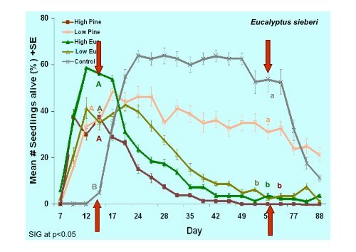 Ecological impacts of invasive Pinus radiata