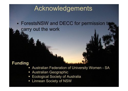 Ecological impacts of invasive Pinus radiata