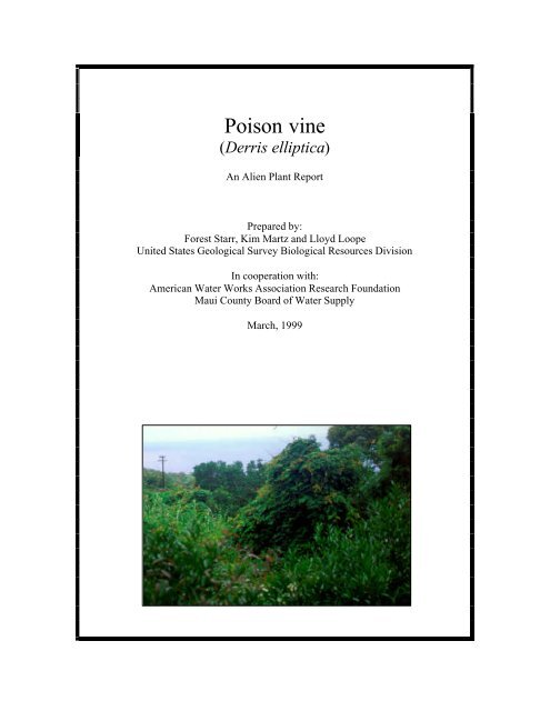Poison vine (Derris elliptica) - Hawaiian Ecosystems at Risk project